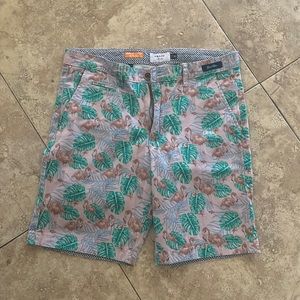 Flamingo monstera shorts